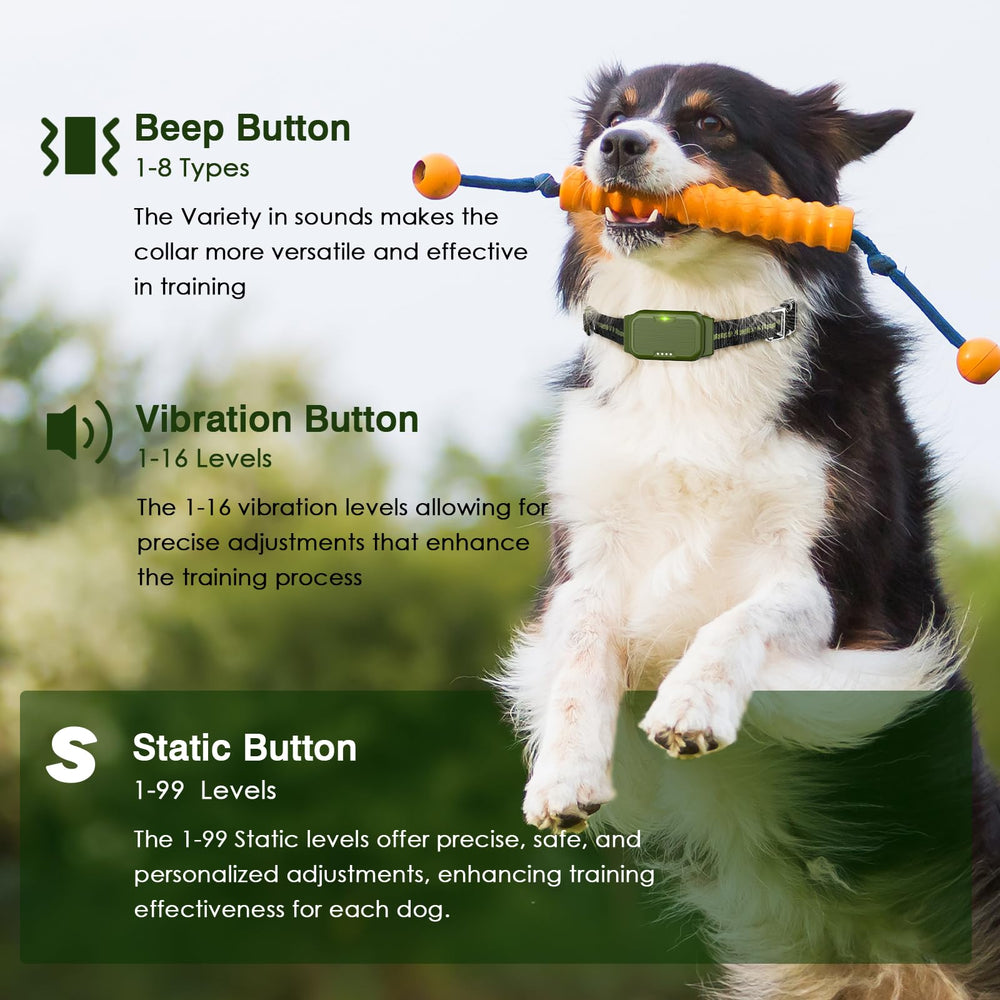 ByteRoll remote control shown for easy training sessions.