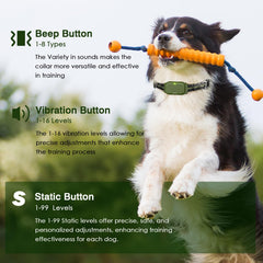 ByteRoll remote control shown for easy training sessions.