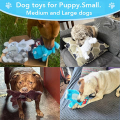 Bzonsmart reinforced stitching keeps up with regular chewing and playful tugging.