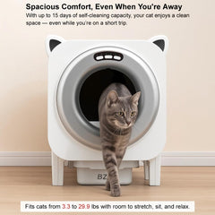 BZW rose gold unit with cat entering, signaling comfortable, roomy space for large cats