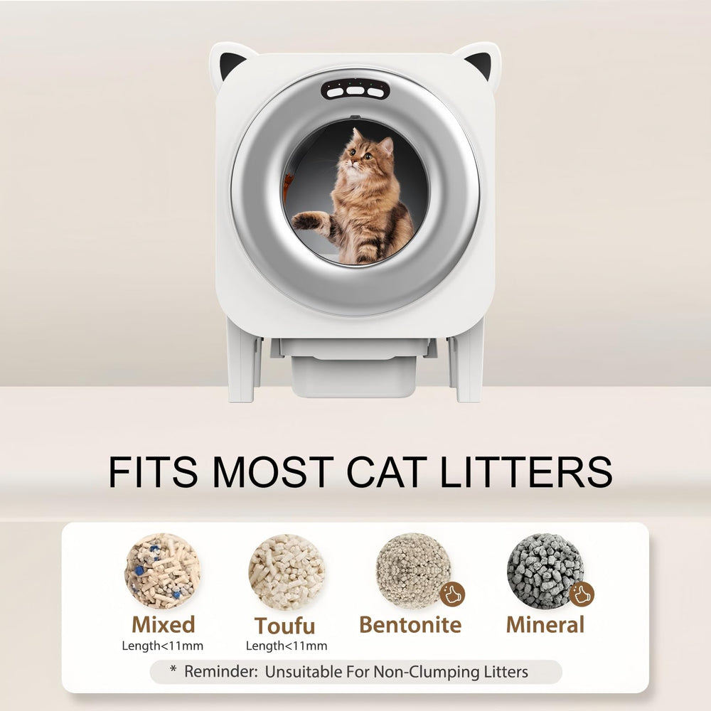BZW multi-cat setup in silver, showcasing large 76L chamber