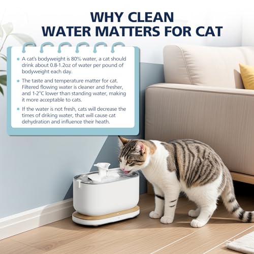 Cabiclean FSC-certified paper label ensures sustainable packaging