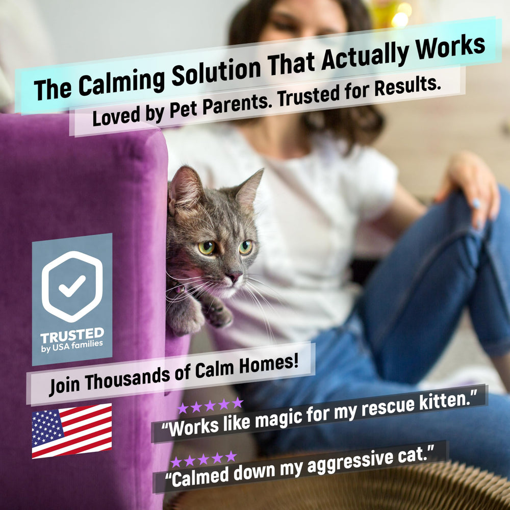 Cabins Cat Calming Diffuser helping a relaxed cat on sofa.