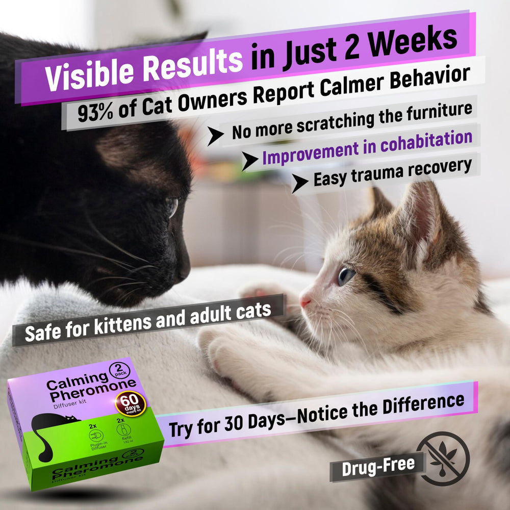 Cabins Cat Calming Diffuser covers large indoor spaces.