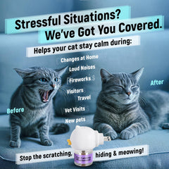 Cabins Cat Calming Diffuser refills ensure up to 60 days.