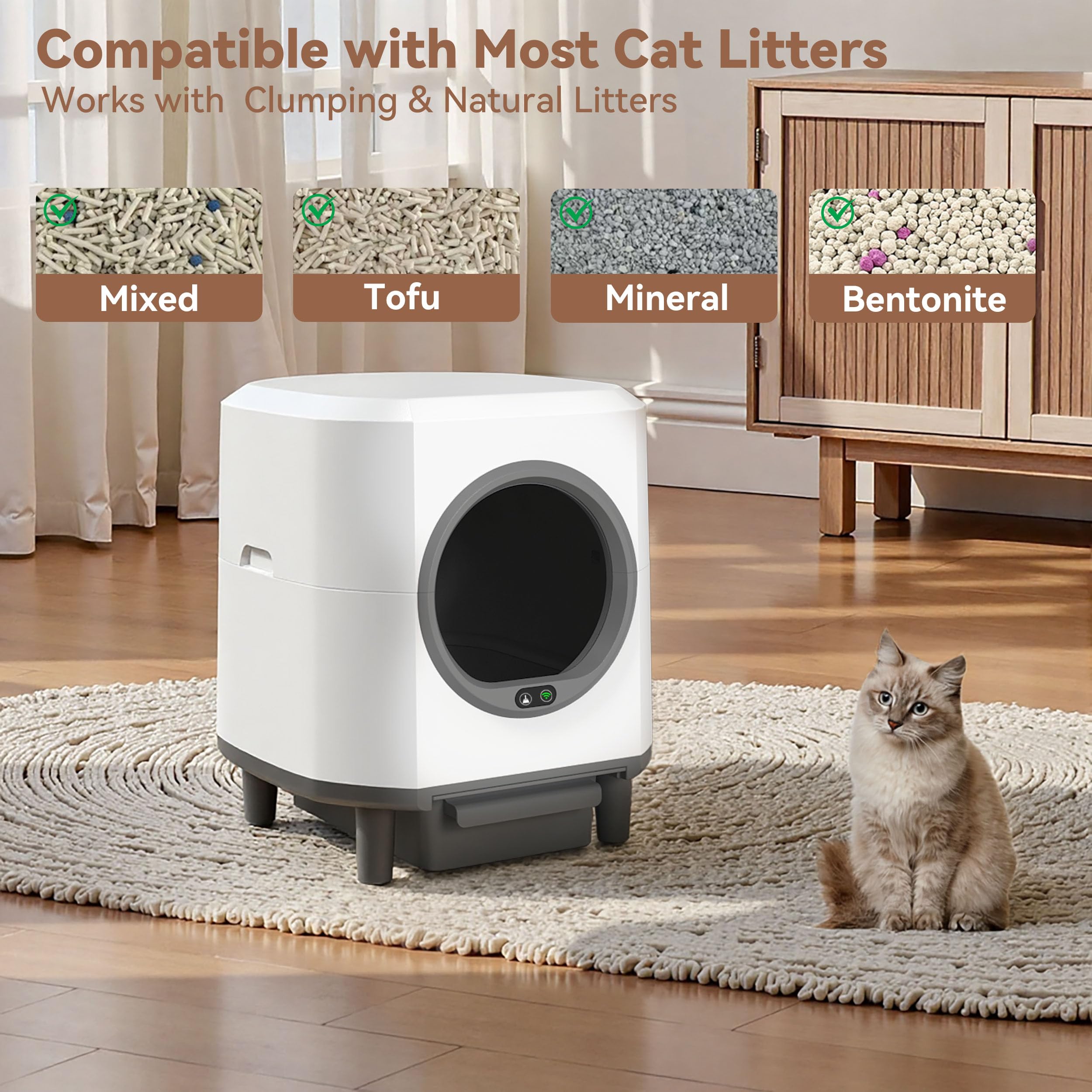 CABZOON cat entering soft-litter area illustrating kitten-friendly access