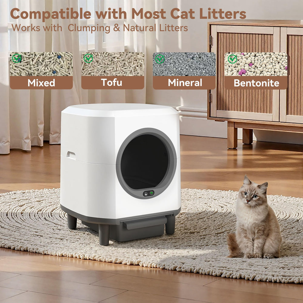 CABZOON cat entering soft-litter area illustrating kitten-friendly access