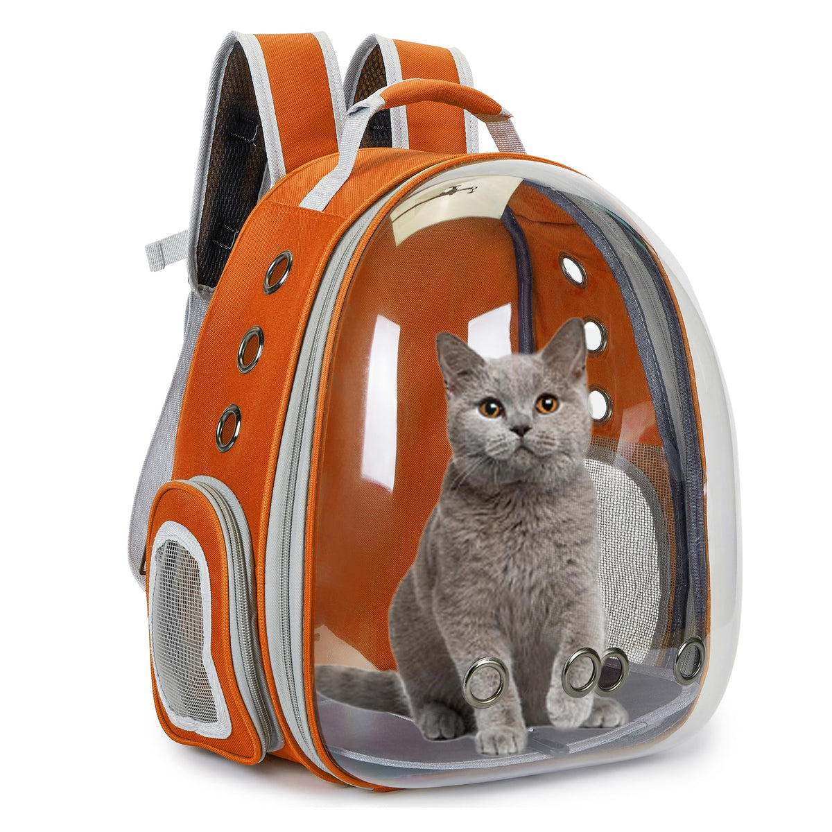 Cacihato Cat Bubble Backpack front view for outdoor adventures with your pet.
