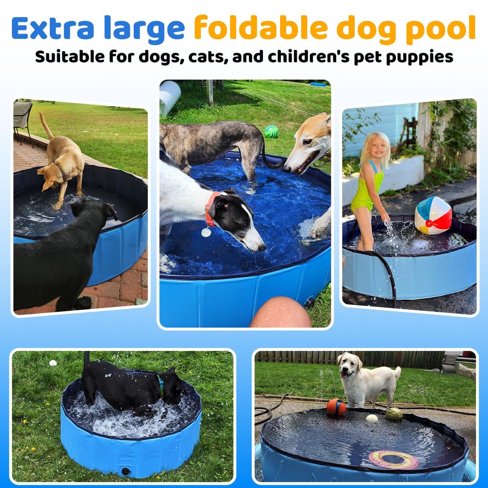 CACSPS blue pool with kids and pets enjoying outdoor play.