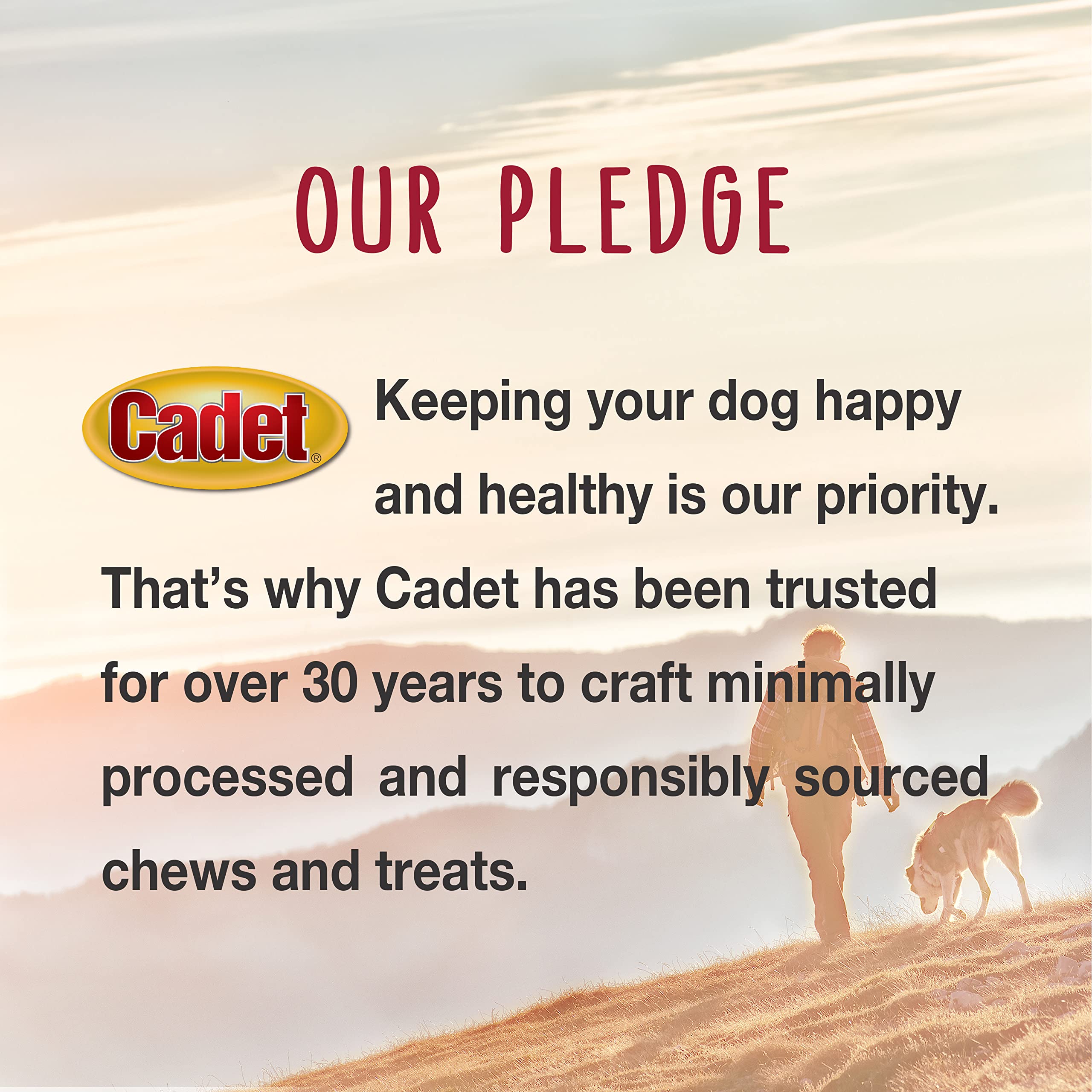 Cadet bully hide sticks single-origin sourcing tag: responsibly sourced beef for dogs.