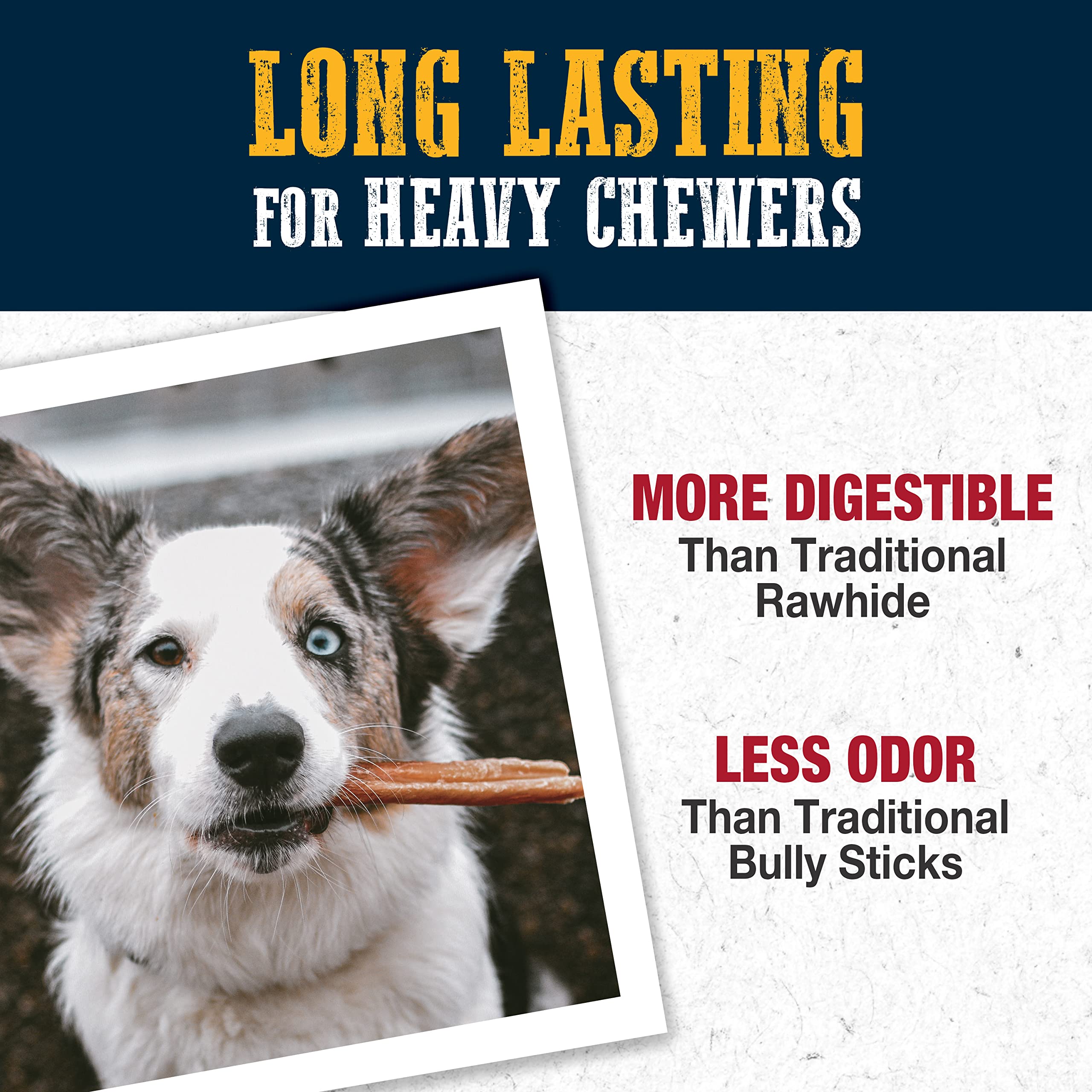 Cadet Bully Hide Sticks dog-enjoying-chew action demonstrates long-lasting entertainment