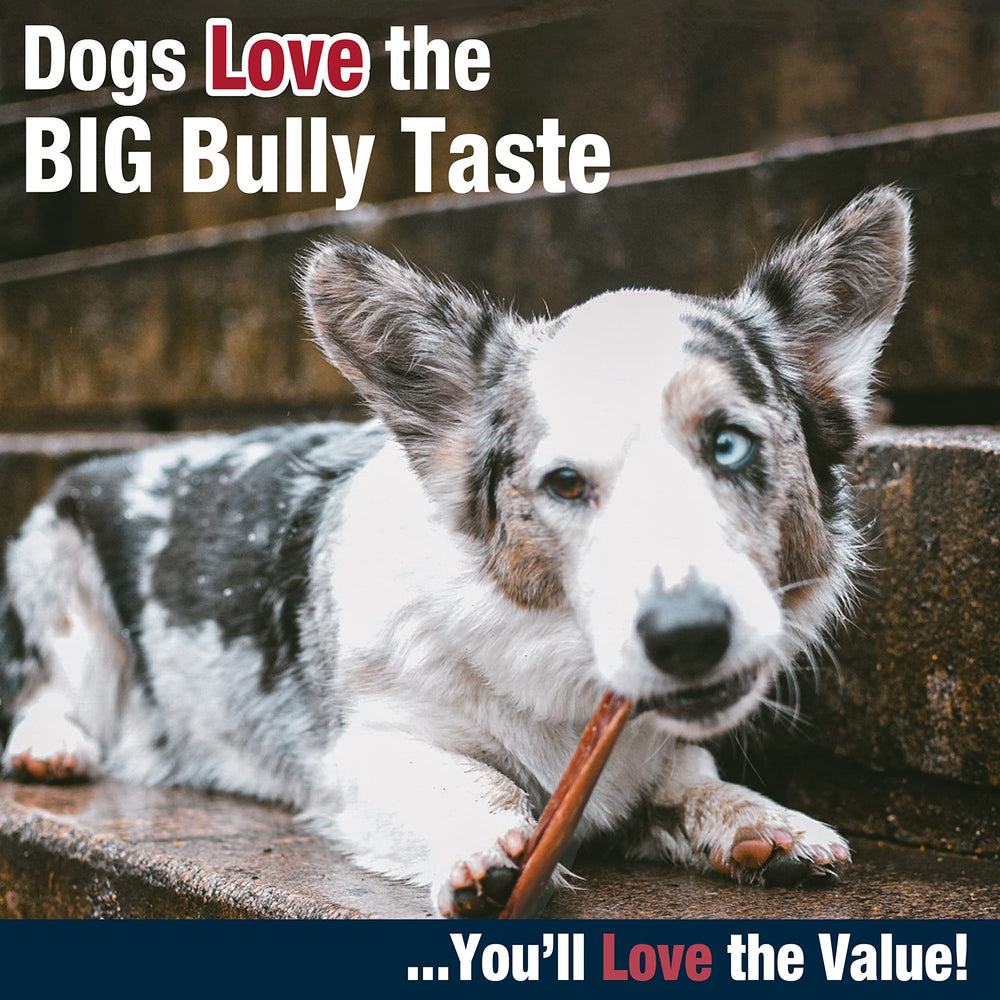 Cadet Bully Hide Sticks close-up texture reveals premium beef hide and bully layer.