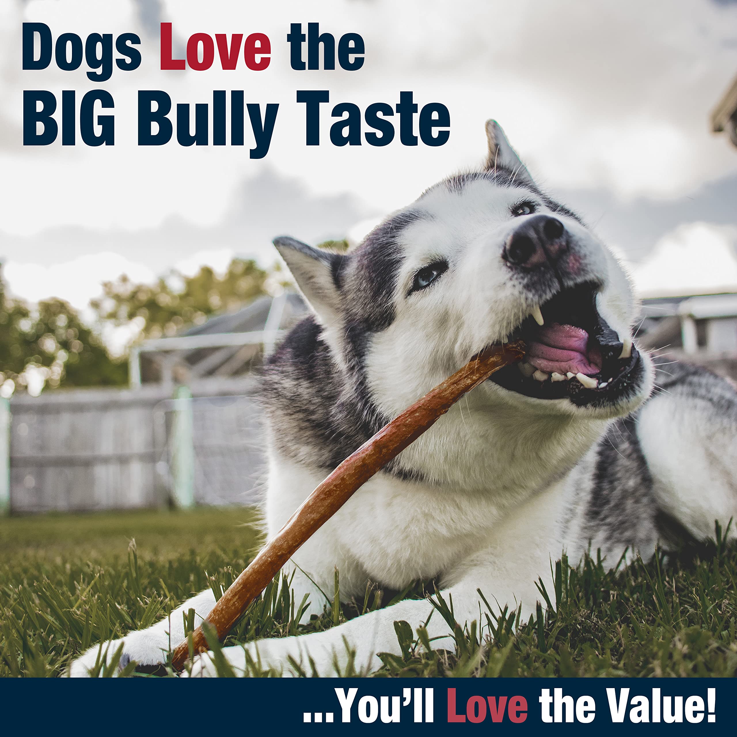 Cadet bully hide sticks USA-inspected packaging: trusted quality, proudly made in the USA.