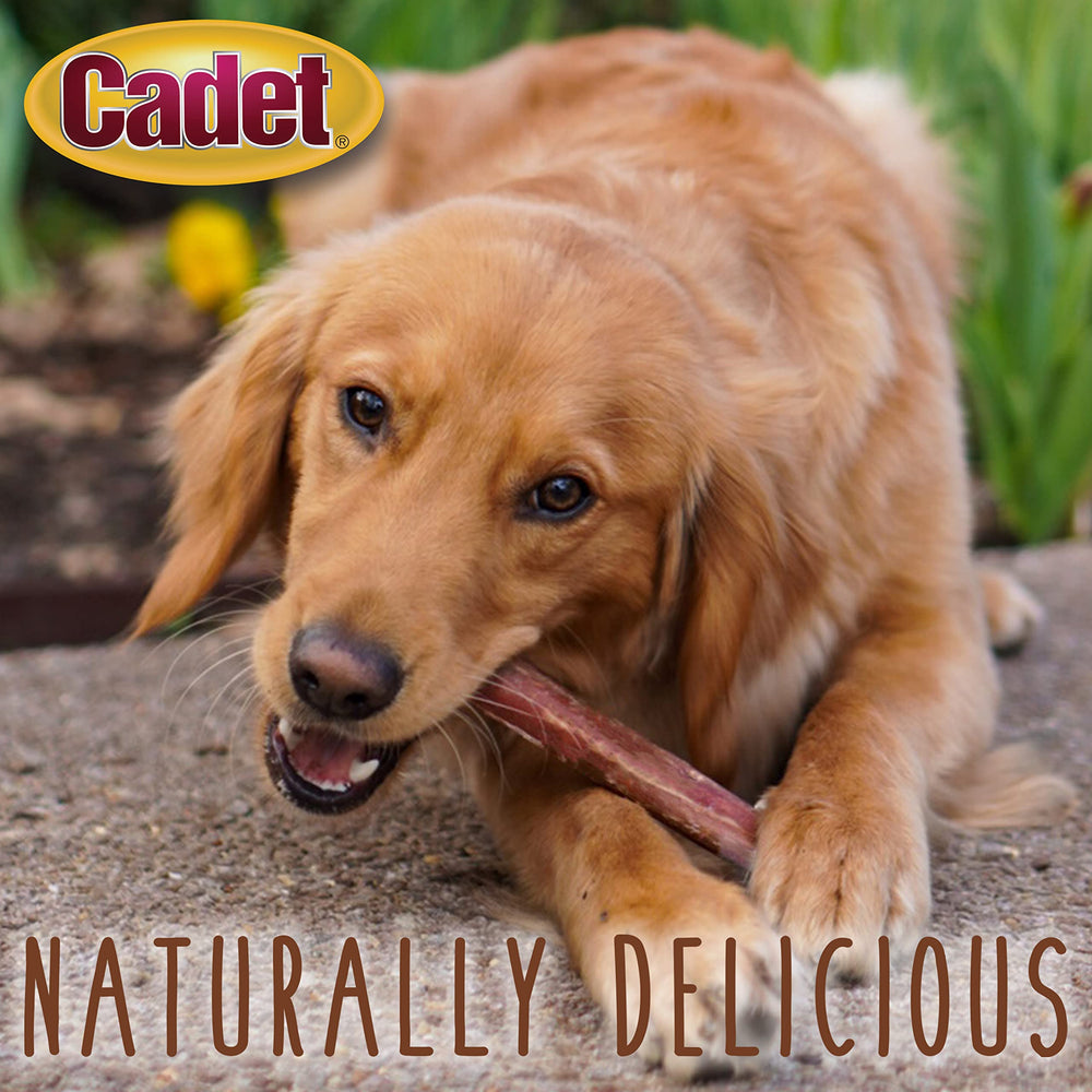 Cadet Bully Sticks long-lasting chew sessions for focused play