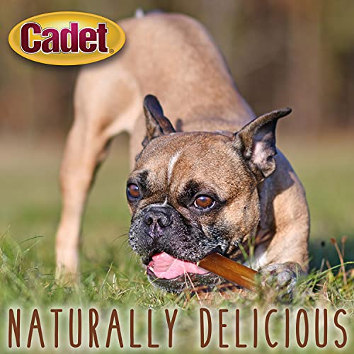 Cadet Bully Sticks natural dog treats highlight protein-rich reward.