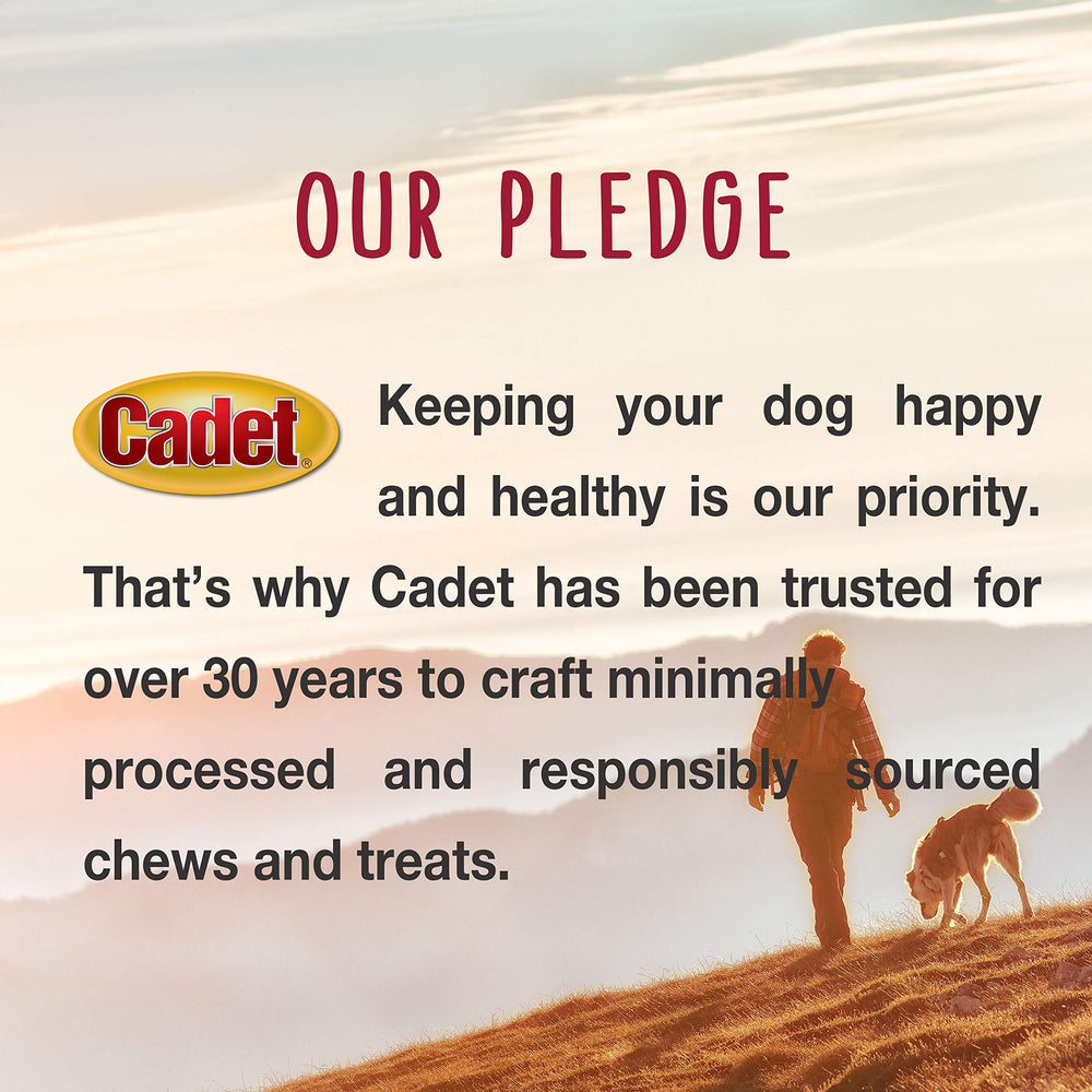Cadet Bully Sticks pack-3-sticks image highlights convenient multi-pack for large dogs.