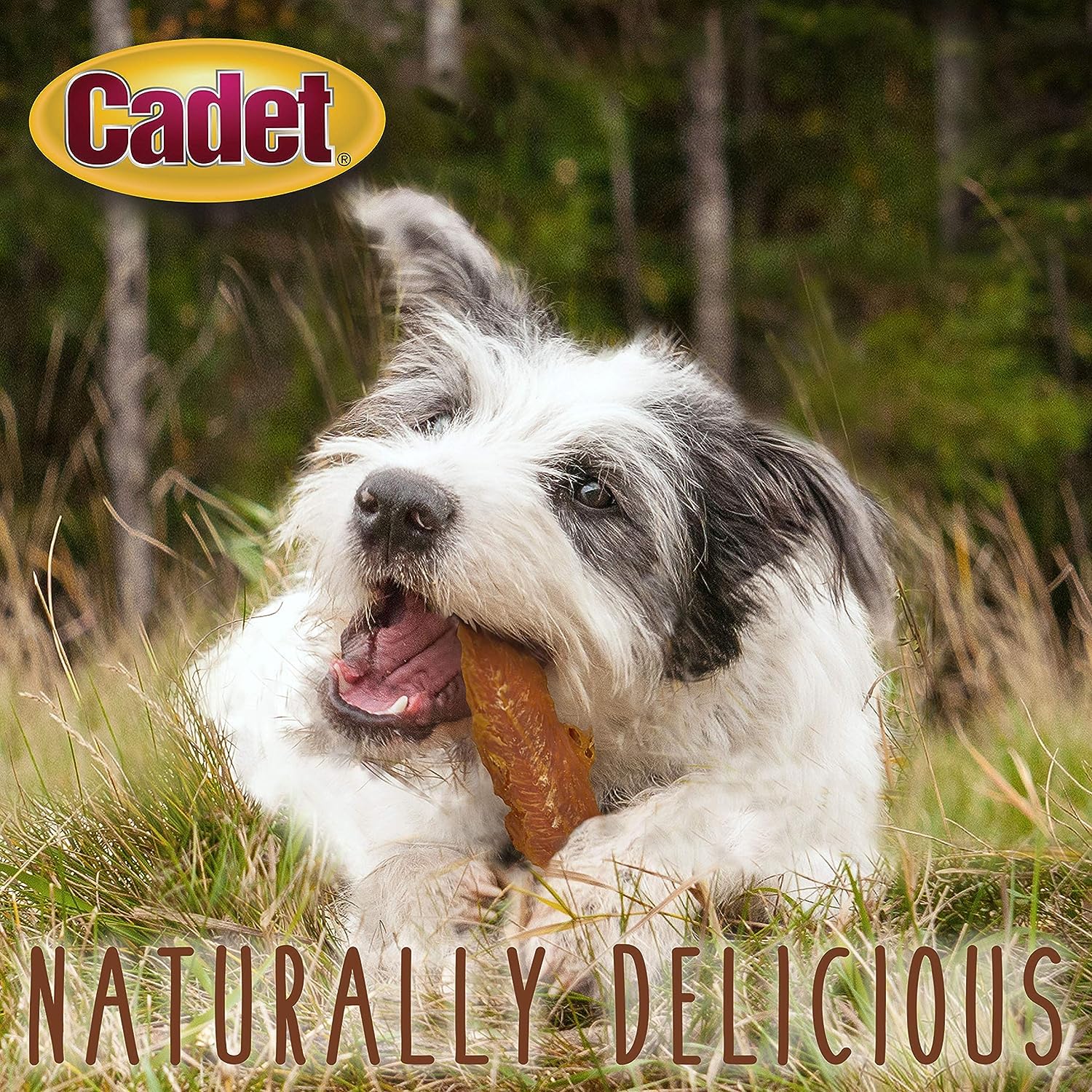 Cadet Chicken Breast Jerky inspected testing USA emphasizes quality and safety