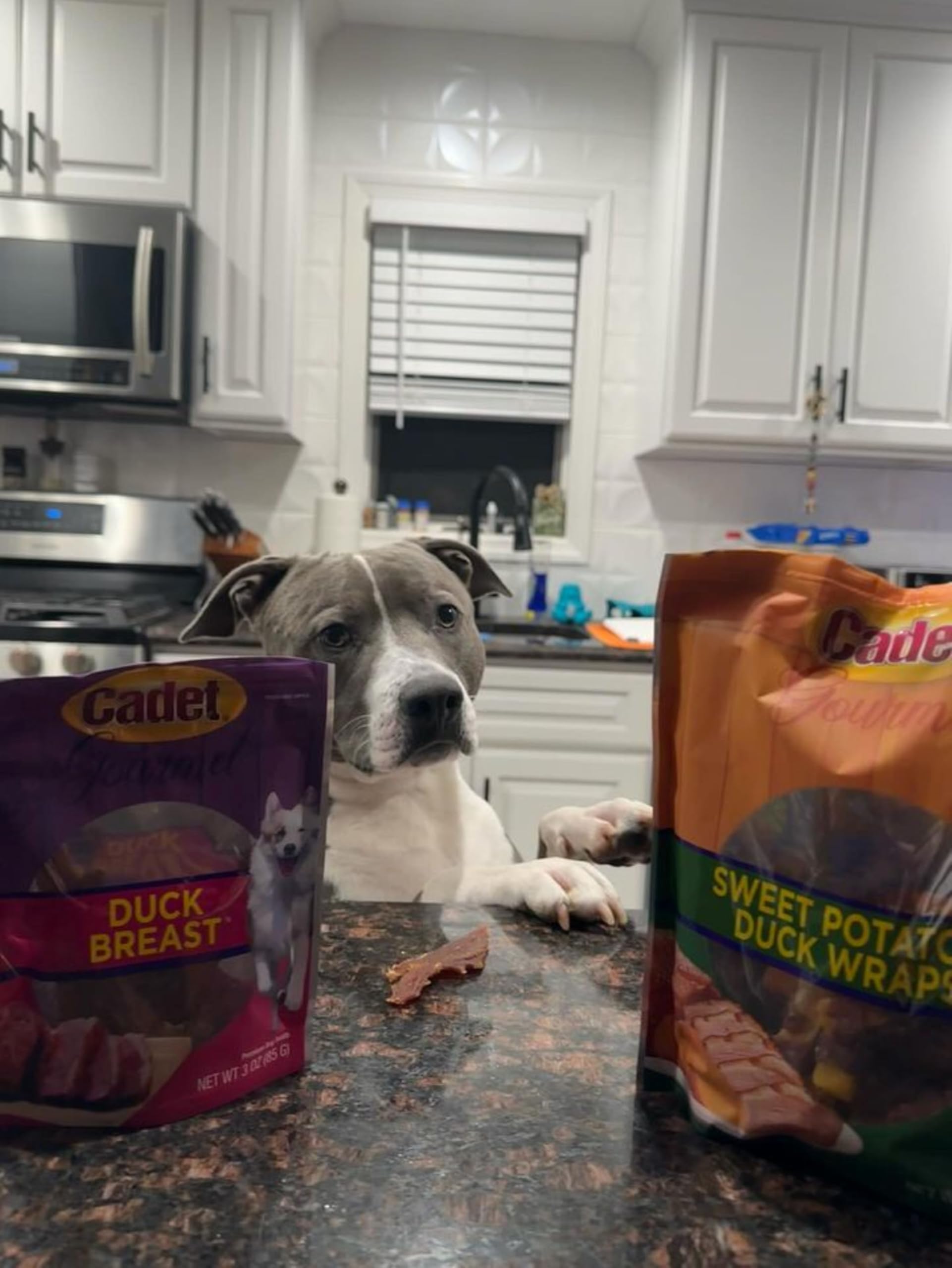Cadet Duck Wraps for dogs: limited ingredients, natural goodness