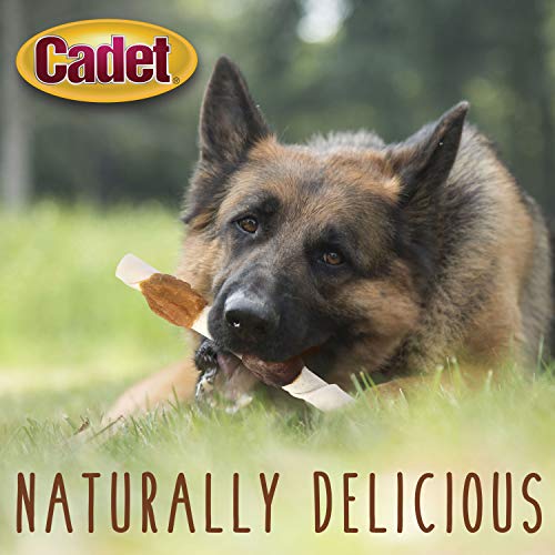 Cadet Gourmet Shish Kabob large-dogs friendly chew satisfies chewing instinct
