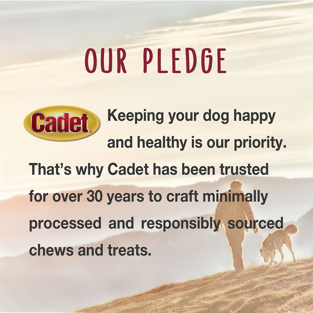 Cadet Shish Kabob teeth-cleaning action demonstrates natural chewing benefits