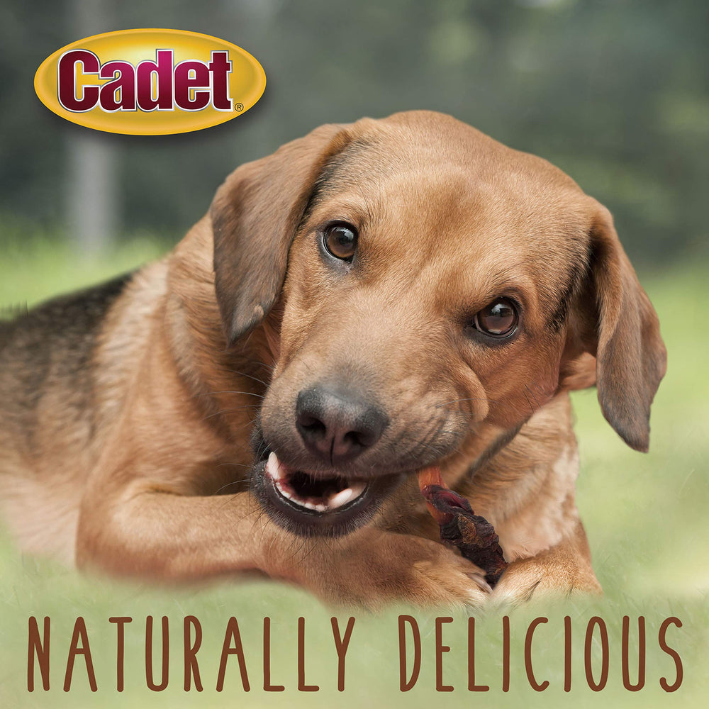 Cadet natural ingredients image highlights no artificial colors