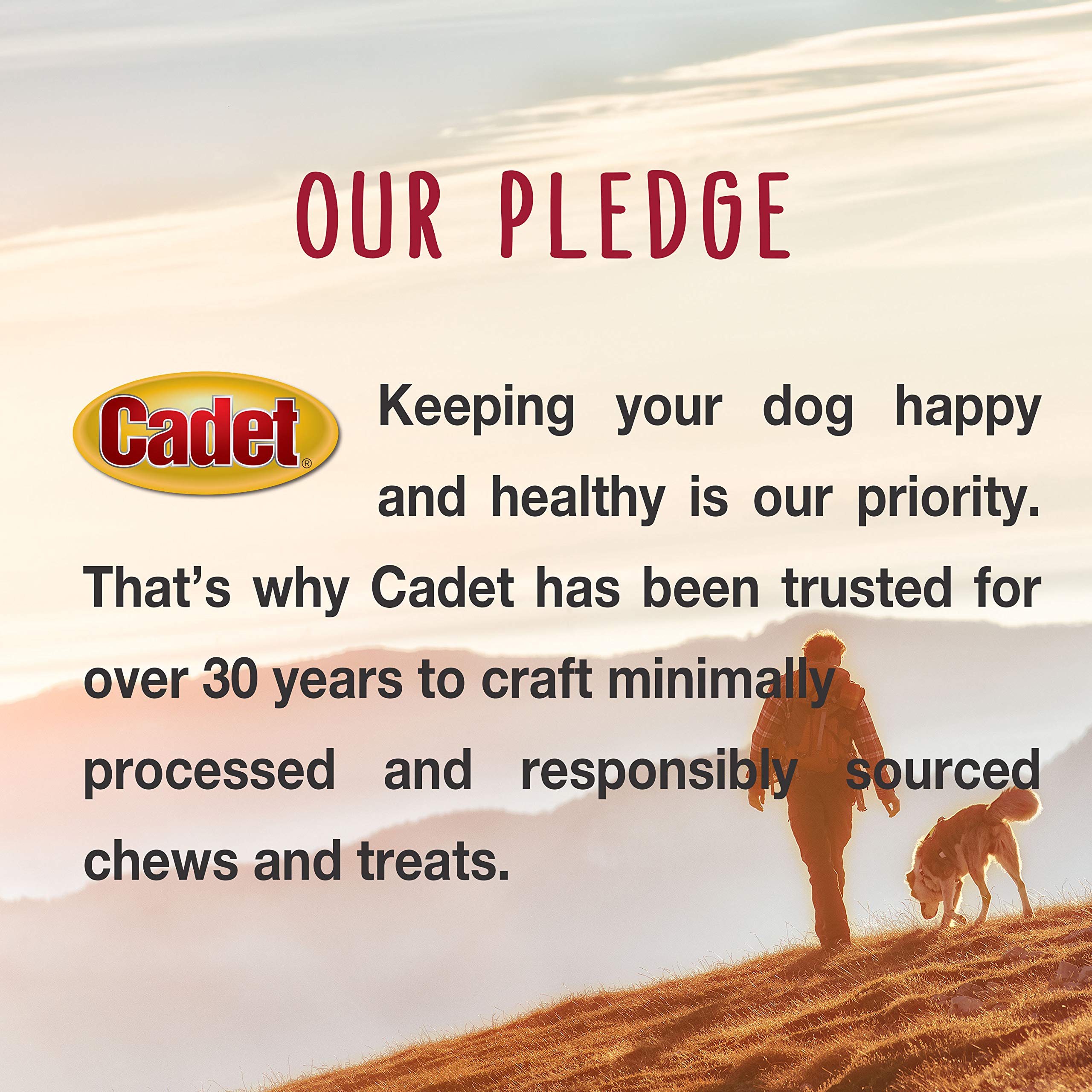 Cadet single-ingredient beef hide emphasizes natural, additive-free chew for dogs