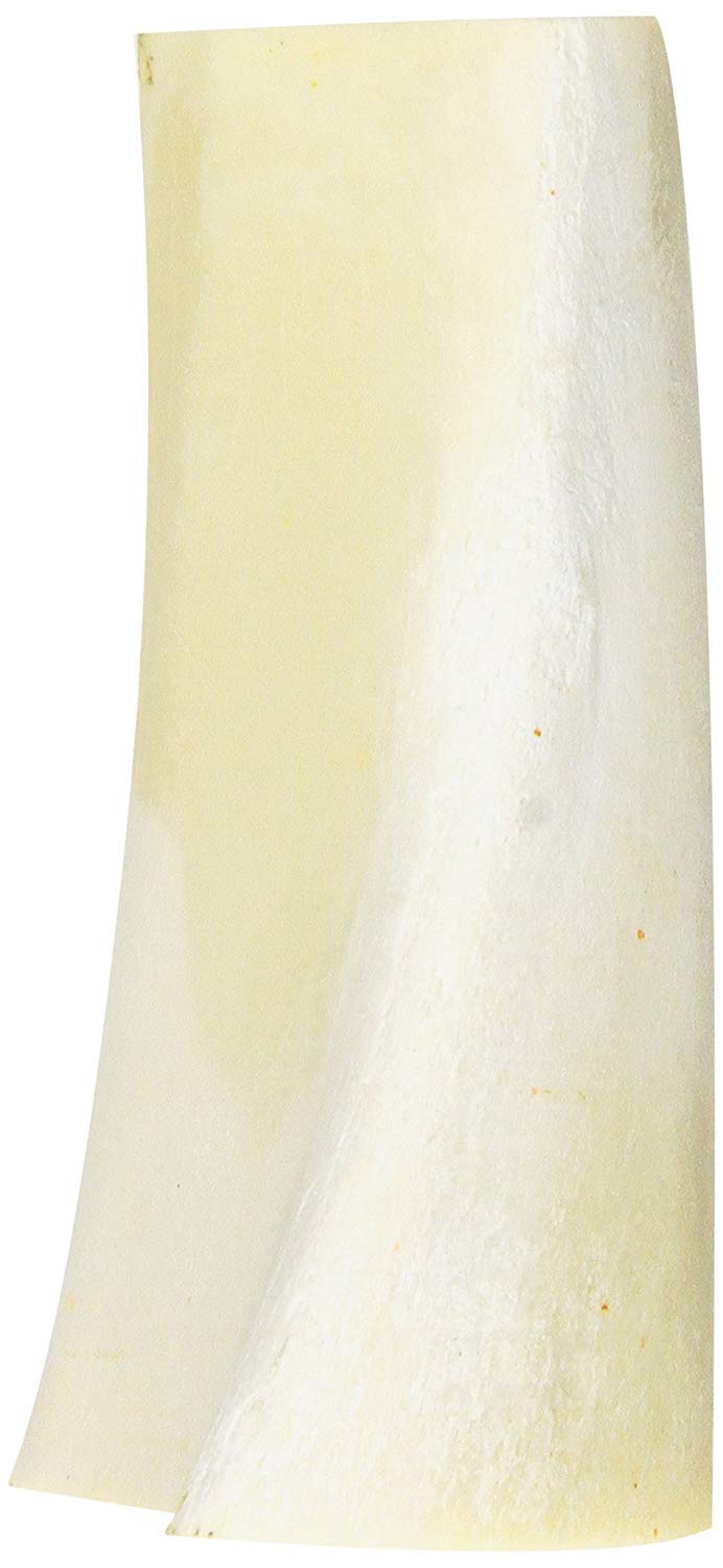 Cadet stuffed shin bone for large dogs—durable chew designed to withstand aggressive chewers