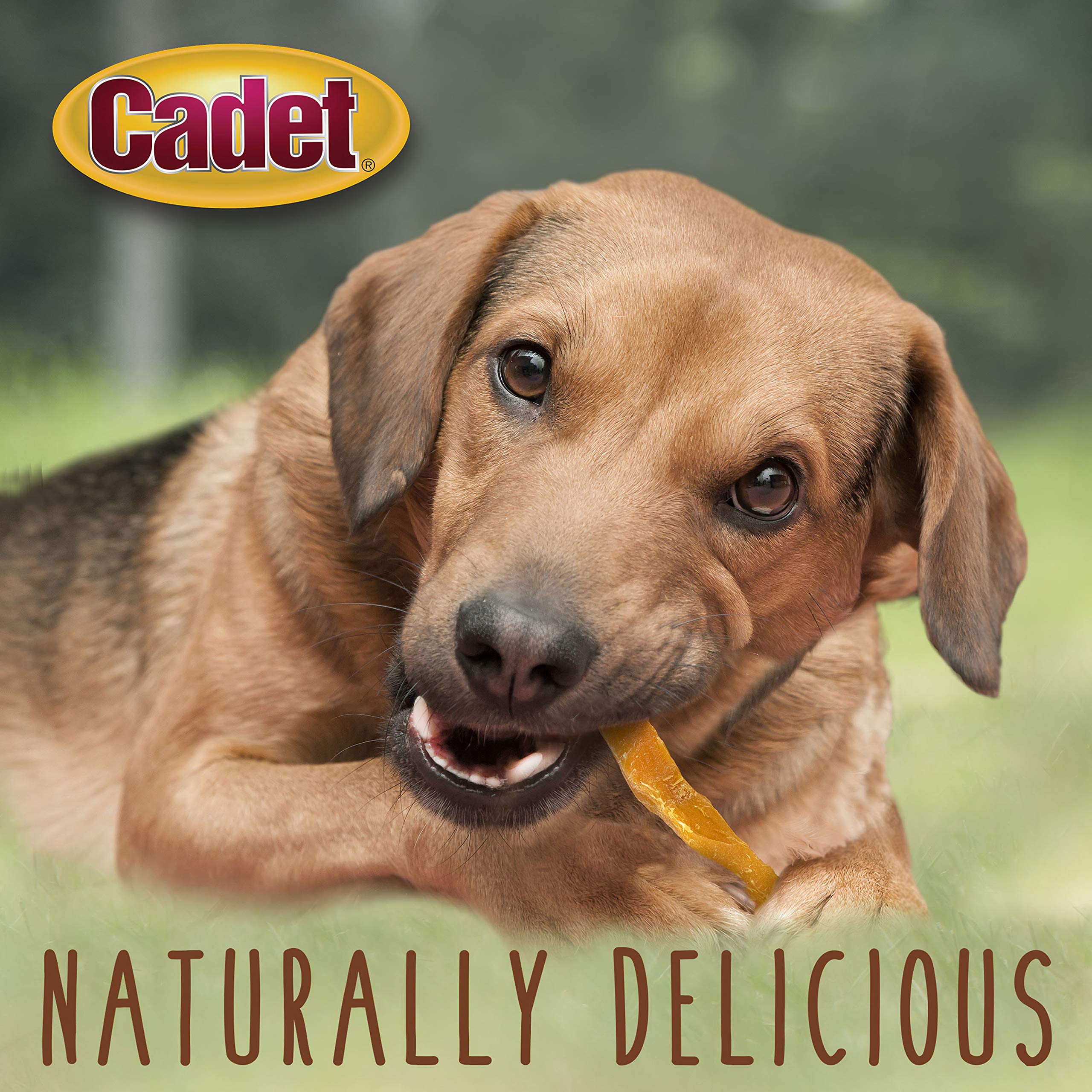 Cadet training treats help reinforce good behavior with tasty, wholesome rewards.