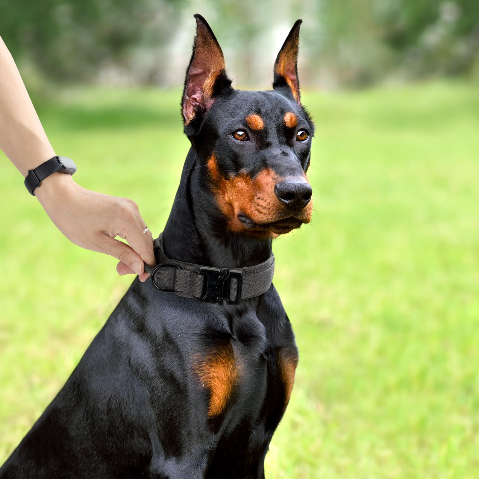 CADONO adjustable-length collar helps fit small to large dogs securely.