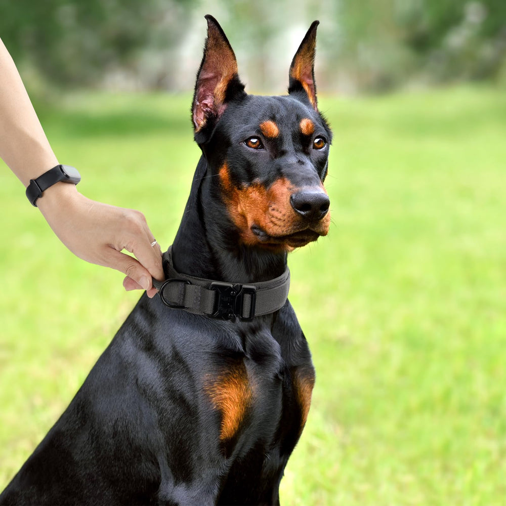 CADONO adjustable-length collar helps fit small to large dogs securely.