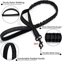 CADONO control-handle dog collar enables precise guidance during walks.