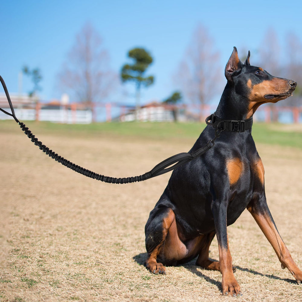CADONO size-range collar supports versatile training across multiple dogs.