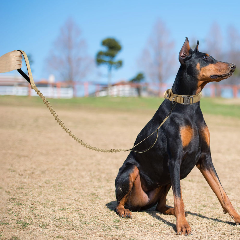 Cadono size guide image explains fit ranges for M, L, and XL dogs.