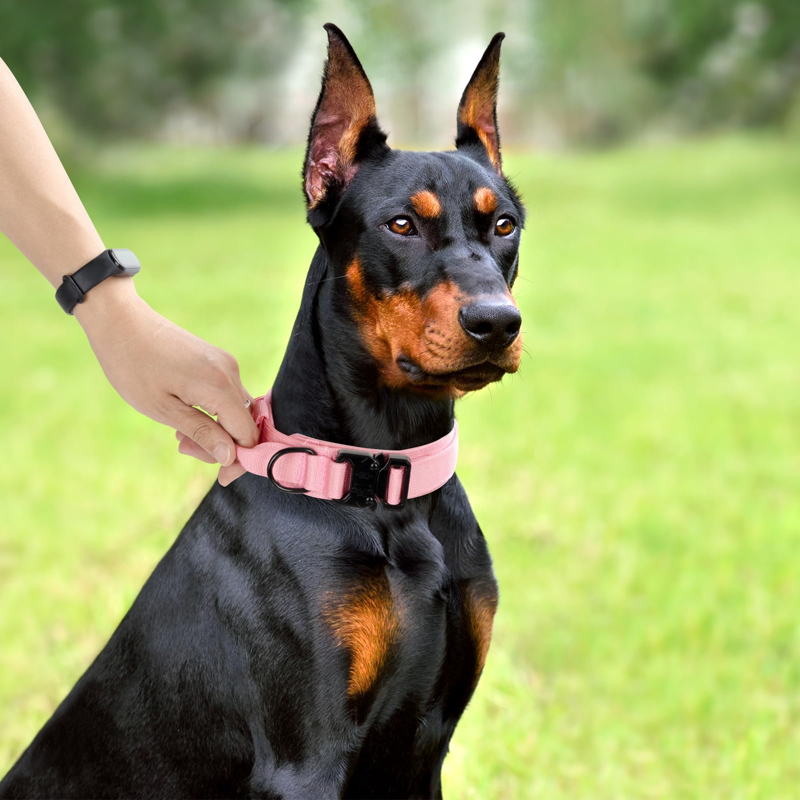 CADONO Collar with separate loop for tags and easy leash attachment.