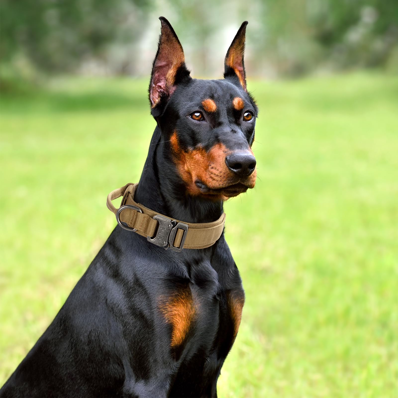 Cadono padded-inner closeup, comfortable contact against a dog's neck.