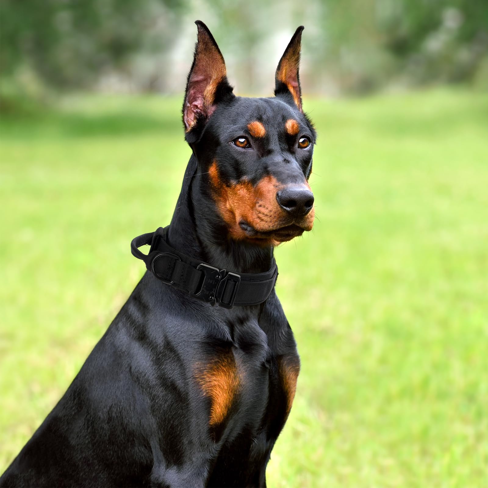 CADONO Tactical Dog Collar Set tags loop keeps ID tags and leashes organized.