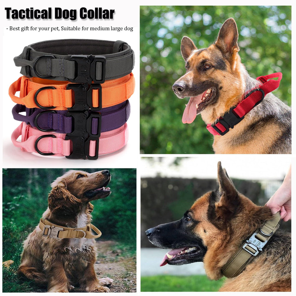 CADONO Tactical Dog Collar includes a separate loop for ID tags and leash attachment