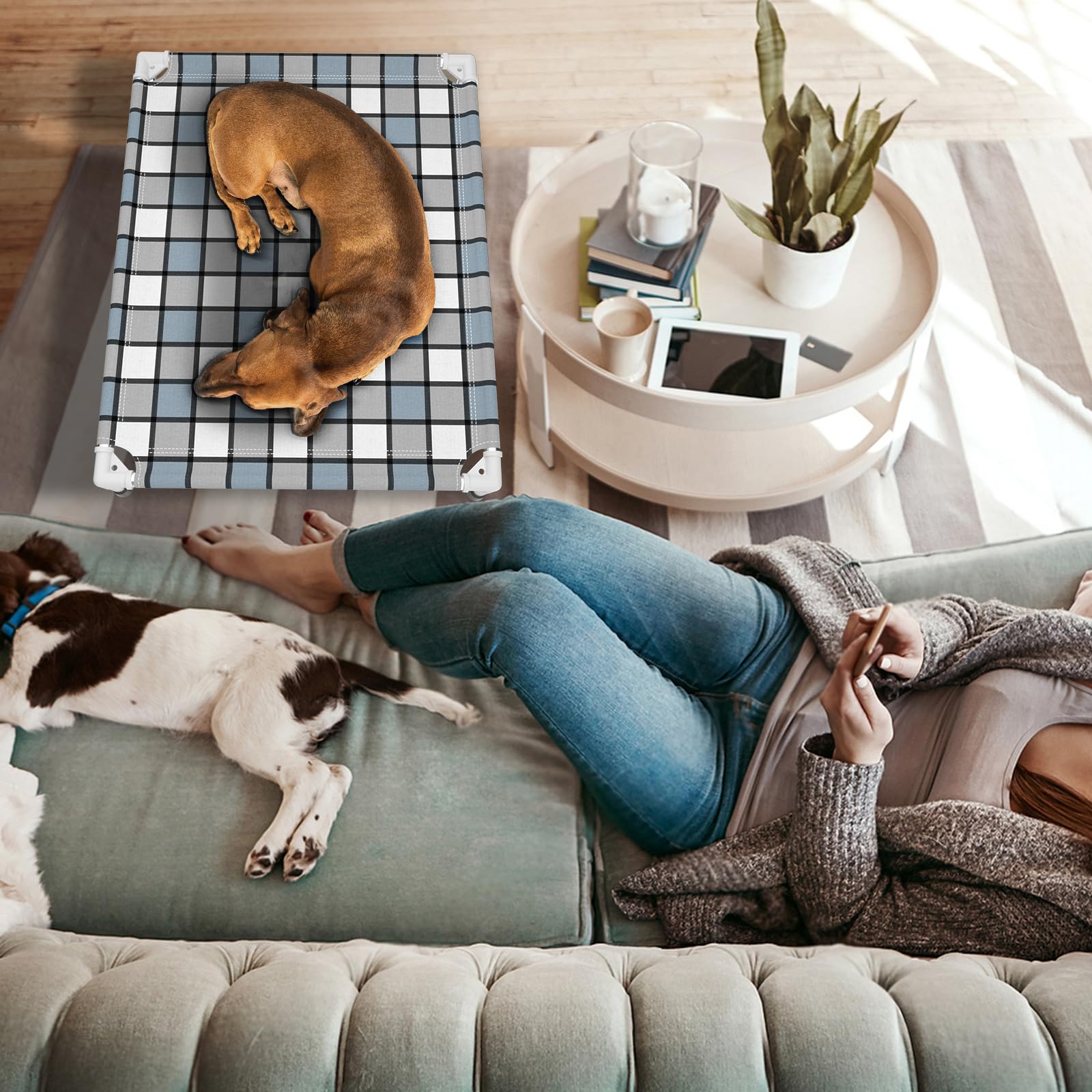 Caghash blue and white grid design complements modern home decor.