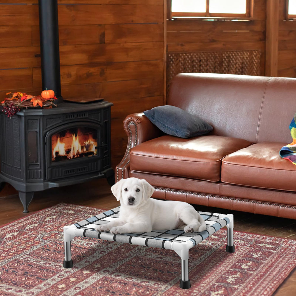 Caghash elevated-dog-bed-dog-resting depicts a content dog resting on plush bedding.