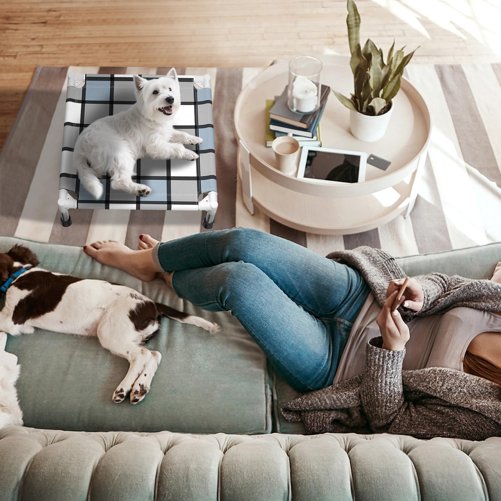 Caghash elevated-dog-bed-easy-assembly demonstrates quick setup with simple steps.
