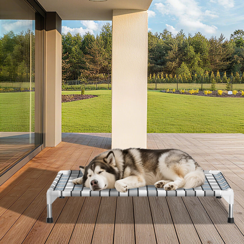 Caghash environmentally-friendly materials promote sustainability and pet-safe use.