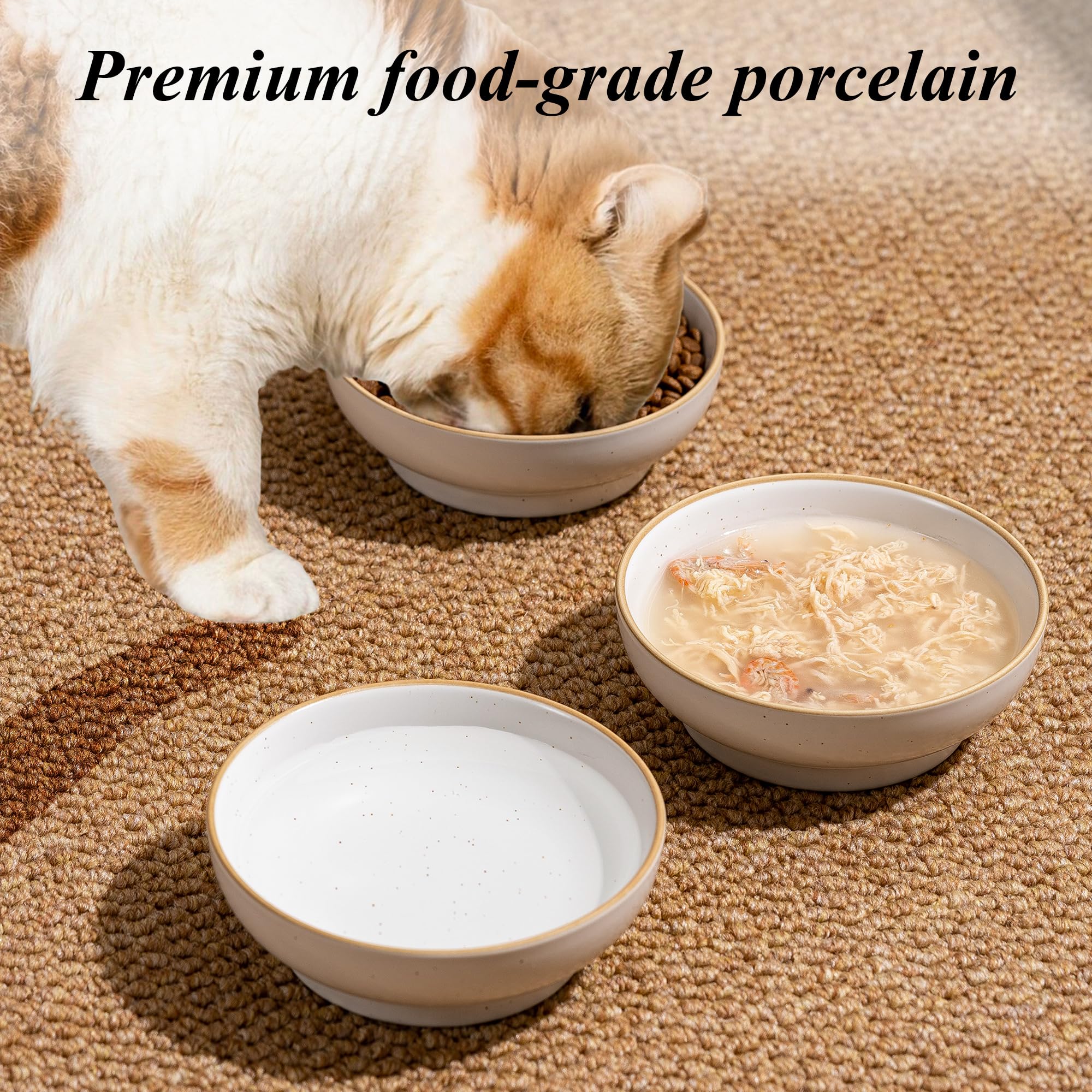 Caigmo cat bowls suitable for indoor and outdoor feeding