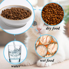 Caigmo porcelain cat bowl close-up, durable, lead-free glaze