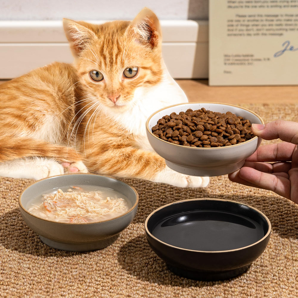 Caigmo stable ceramic bowls resist tipping during meals