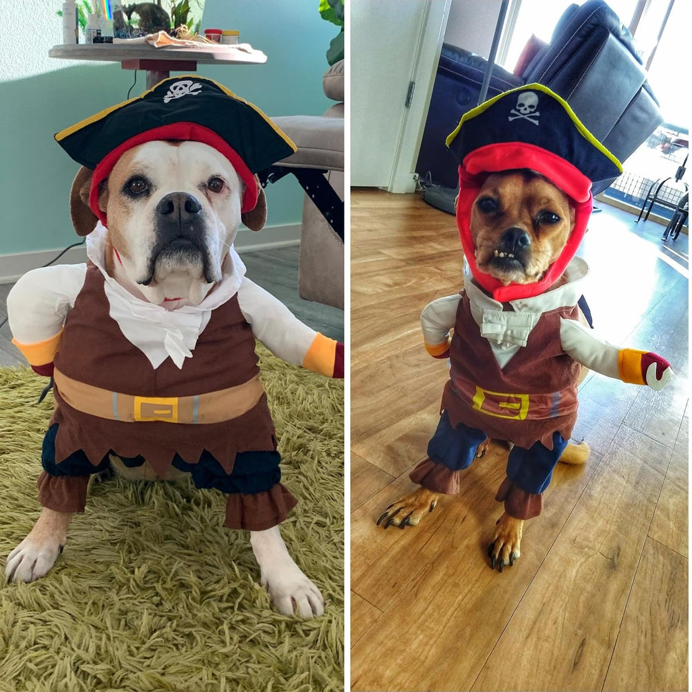CAISANG pirate costume party-scene captures pets in festive cosplay