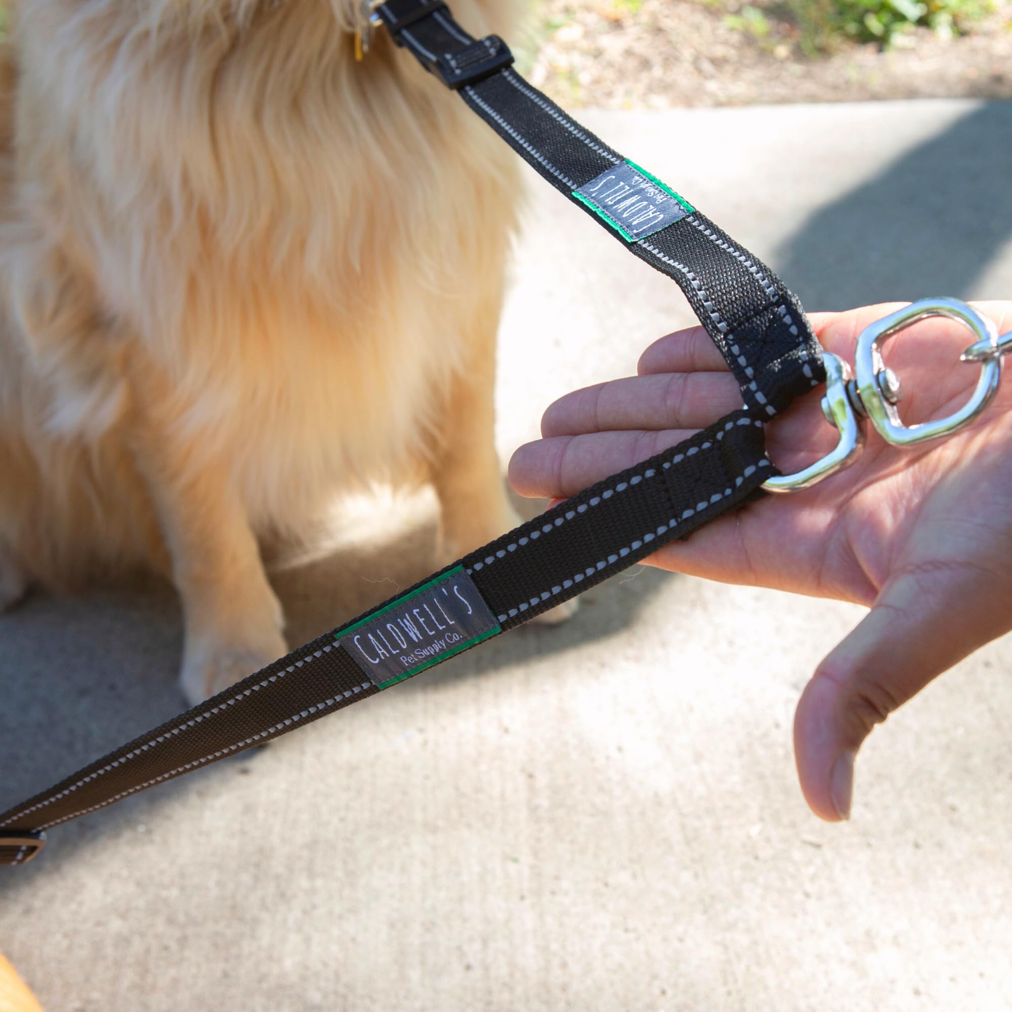 Caldwell's Pet Supply Co. heavy-duty-leash-strap emphasizes durable construction for all-day walks.