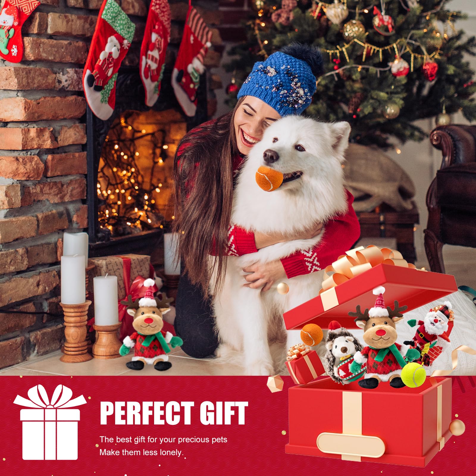 Calibonbon dog-fetch-set-in-action captures dynamic play and bonding during the holidays