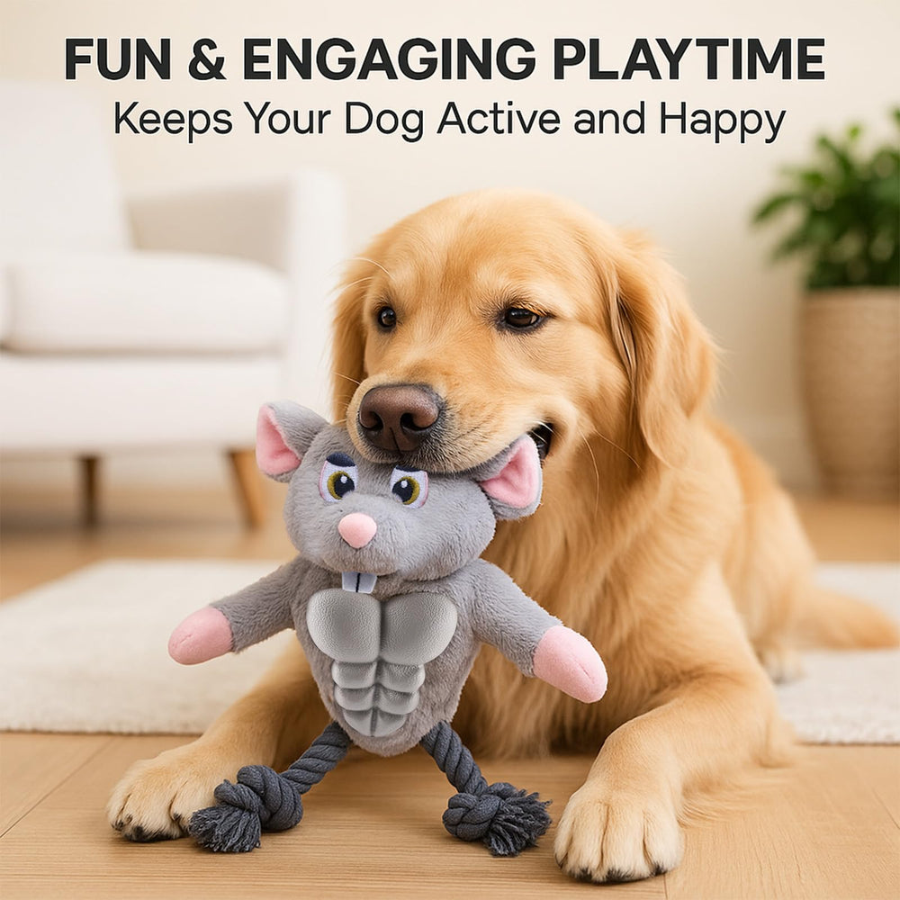 Calibonbon Muscle Mouse toy sized for medium to large dogs for indoor play