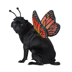 California Costumes Calico Monarch dog foam wings provide lightweight butterfly flair.