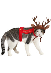 California Costumes dog headpiece with attached horns—adorable photo prop for holiday events